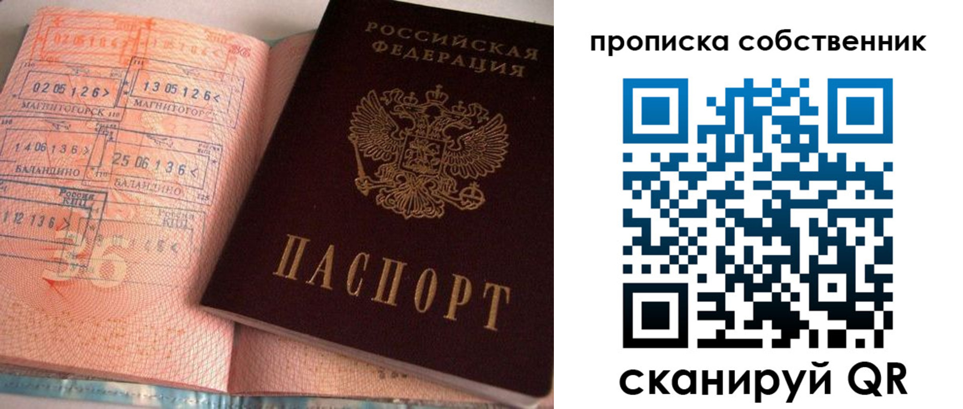 прописка в Полярных Зорях